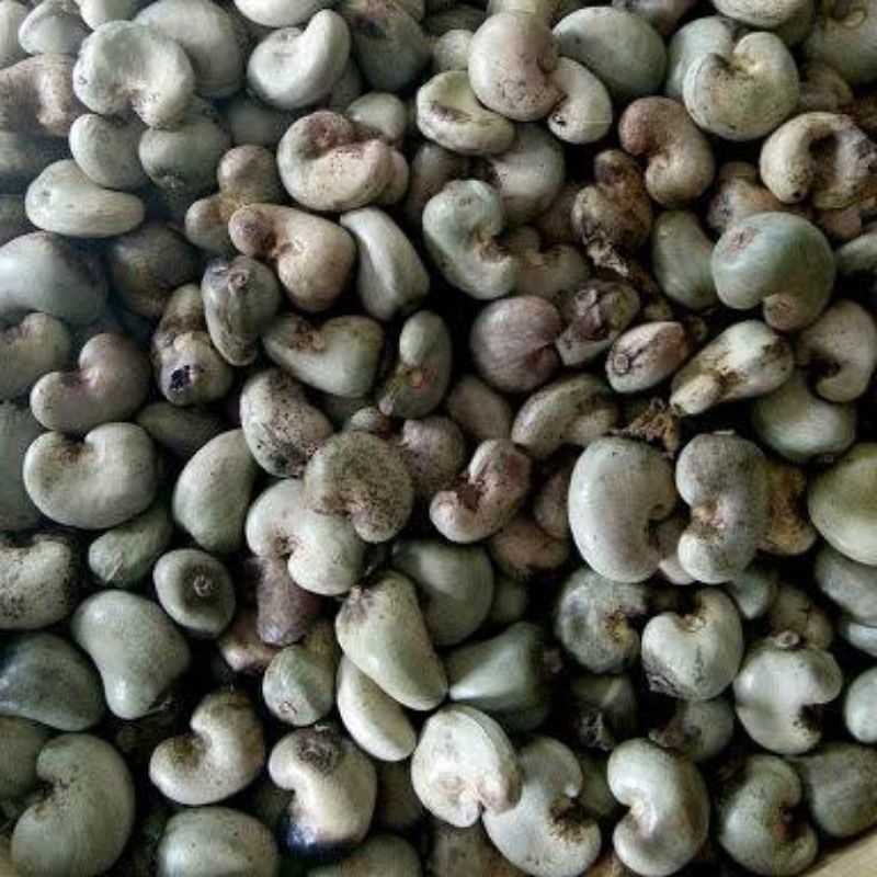 

kacang mete mentah 500gr 1kg / biji ukiran/ biji buah jambu mete