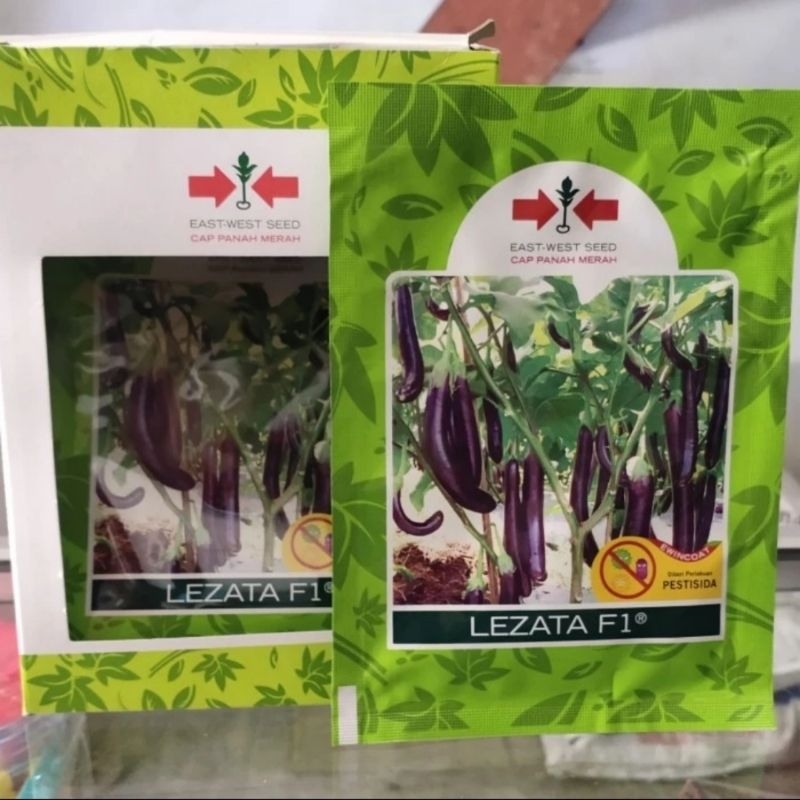 Bibit Unggul Terong Lezata F1