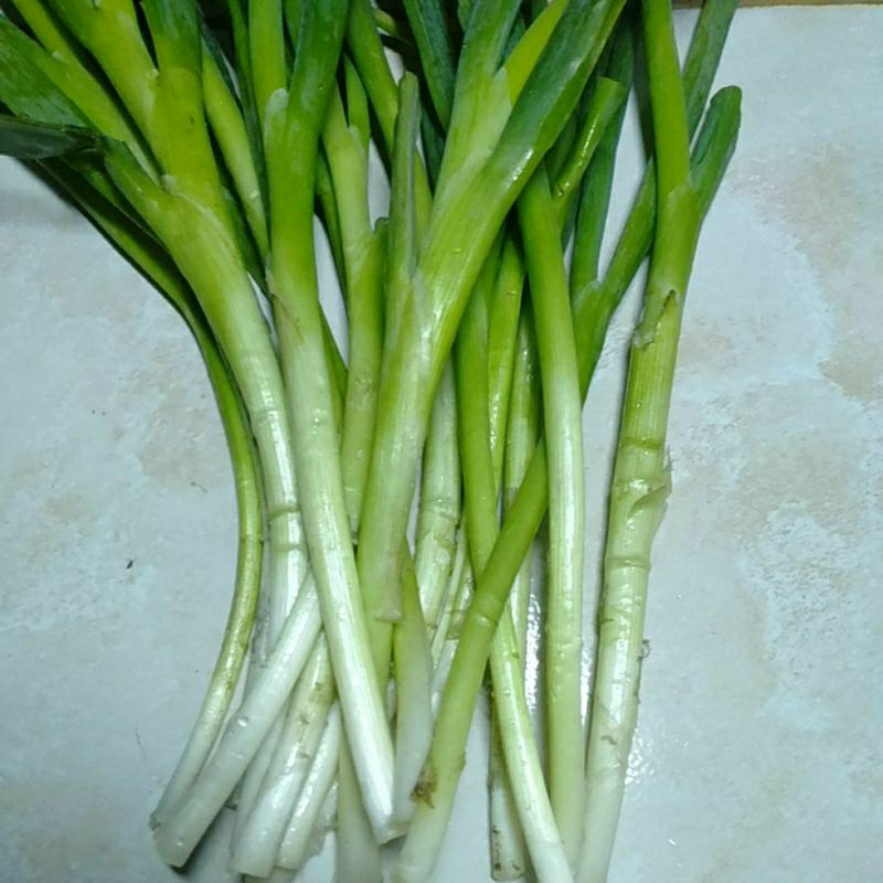 

SAYUR DAUN PREE BAWANG ONCLANG 500gram