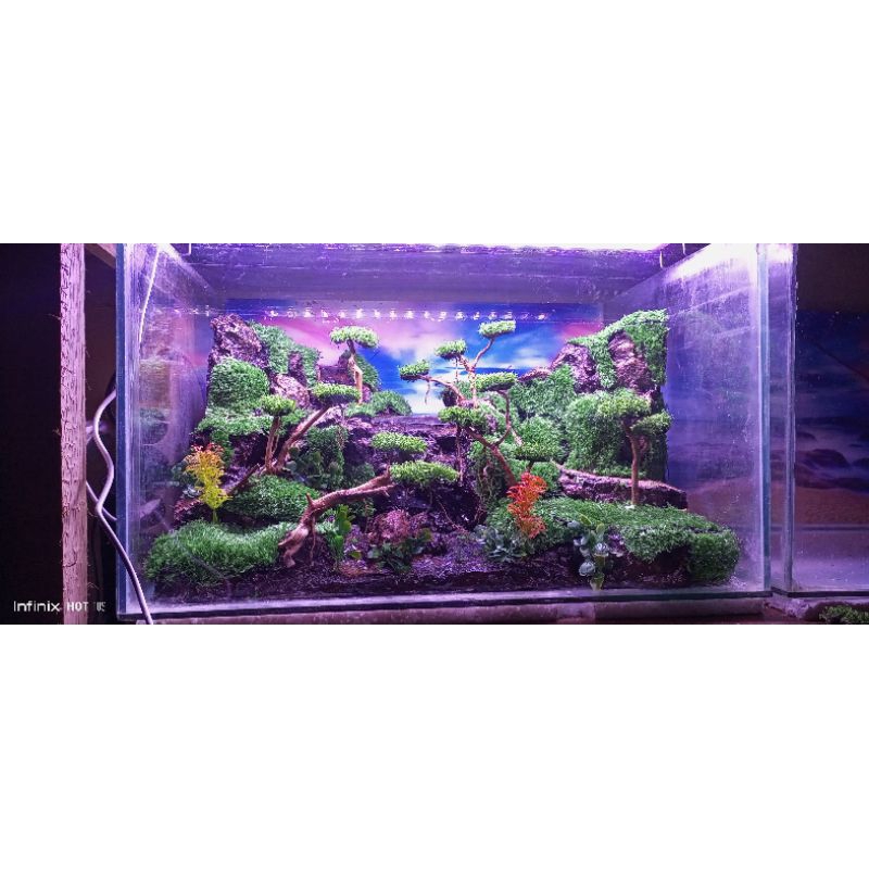 tebing waterfall air terjun