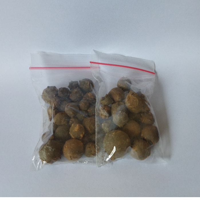 

buah manjakani 25 gram