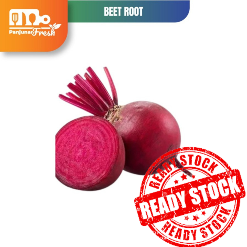 

Buah Bit / Beet root 1 Kg Fresh Langsung Dari Kebun