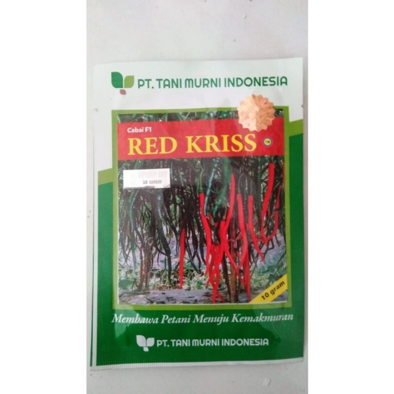 Benih bibit cabe keriting Red Kriss F1 10 gram kemasan original