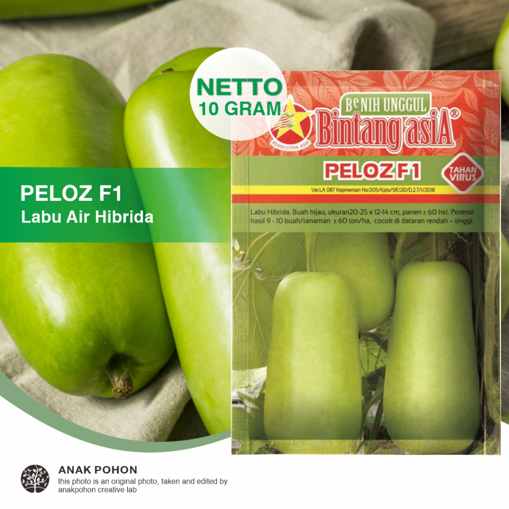 (1 PACK) Benih Labu Air PELOZ F1 Hibrida Squash Seeds - Bintang Asia - 10 GRAM