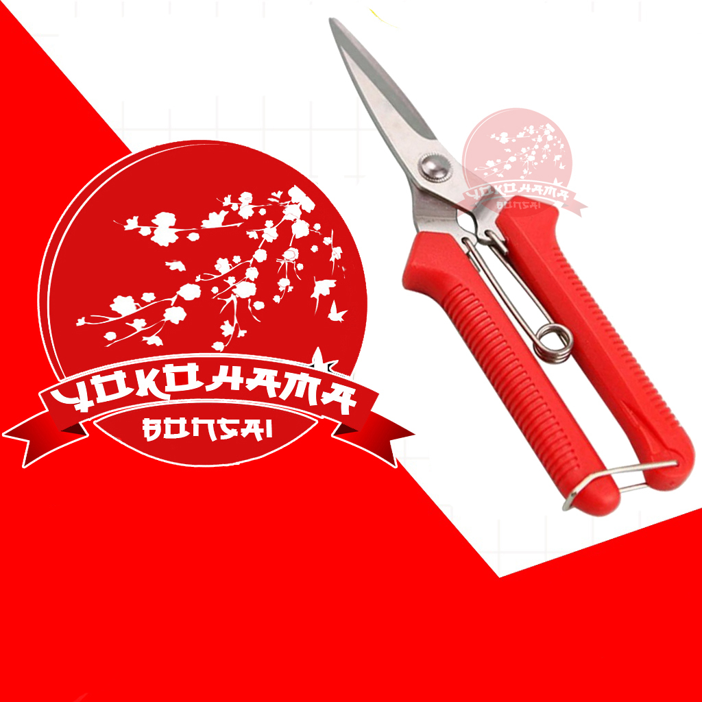 YOKOHAMA BONSAI-GUNTING BONSAI PRUNING DAUN Taiwan