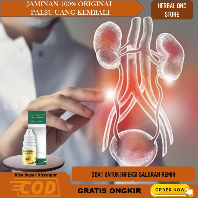 obat infeksi saluran kemih  infeksi saluran kemih obat infeksi saluran kencing Obat Infeksi Saluran 