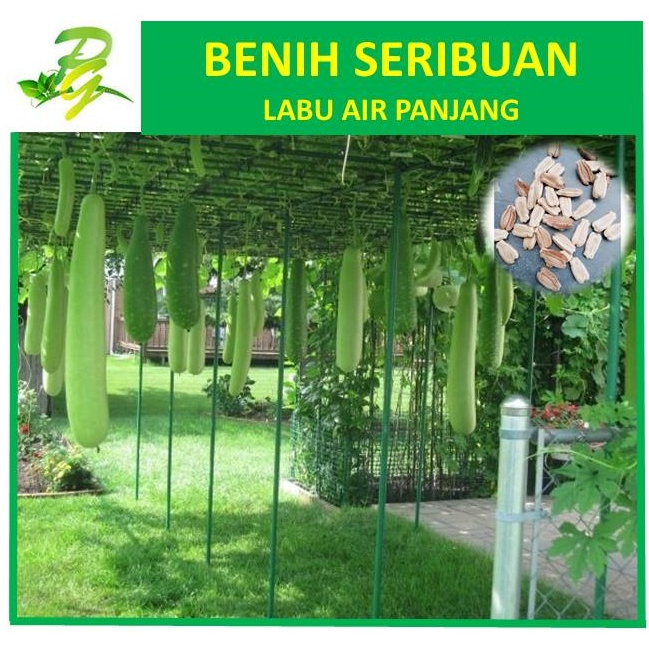 Benih Seribuan Labu Air Panjang