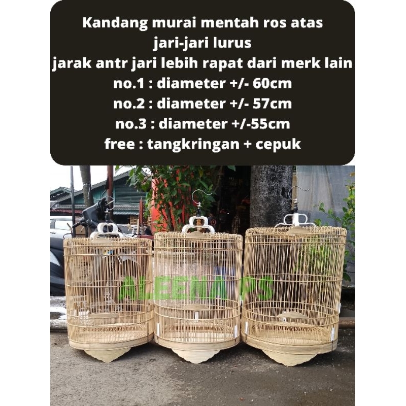 sangkar kandang murai batu mentah ros atas non lis no.3