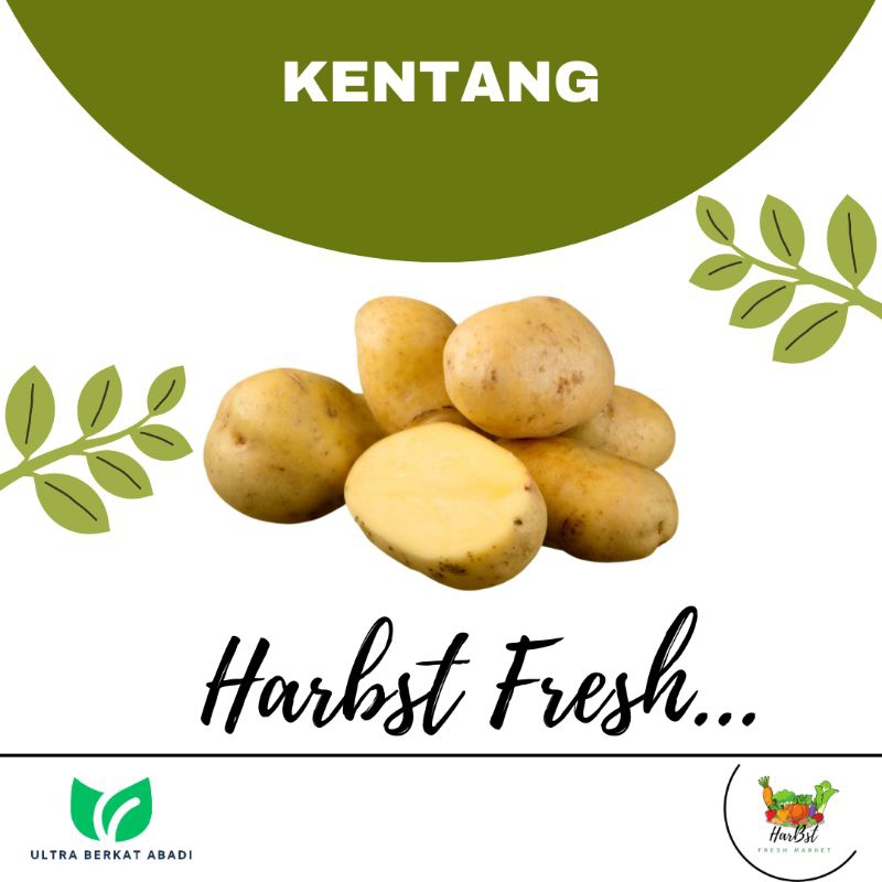 

Kentang Super / Sayur bandung / Sayur segar / Online