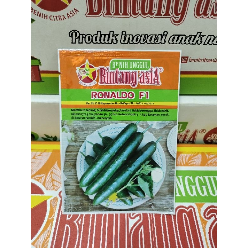 Benih Mentimun Timun RONALDO F1 20 Gram Cap Bintang Asia PT Benih Citra Asia Type Timun Jepang Cocok