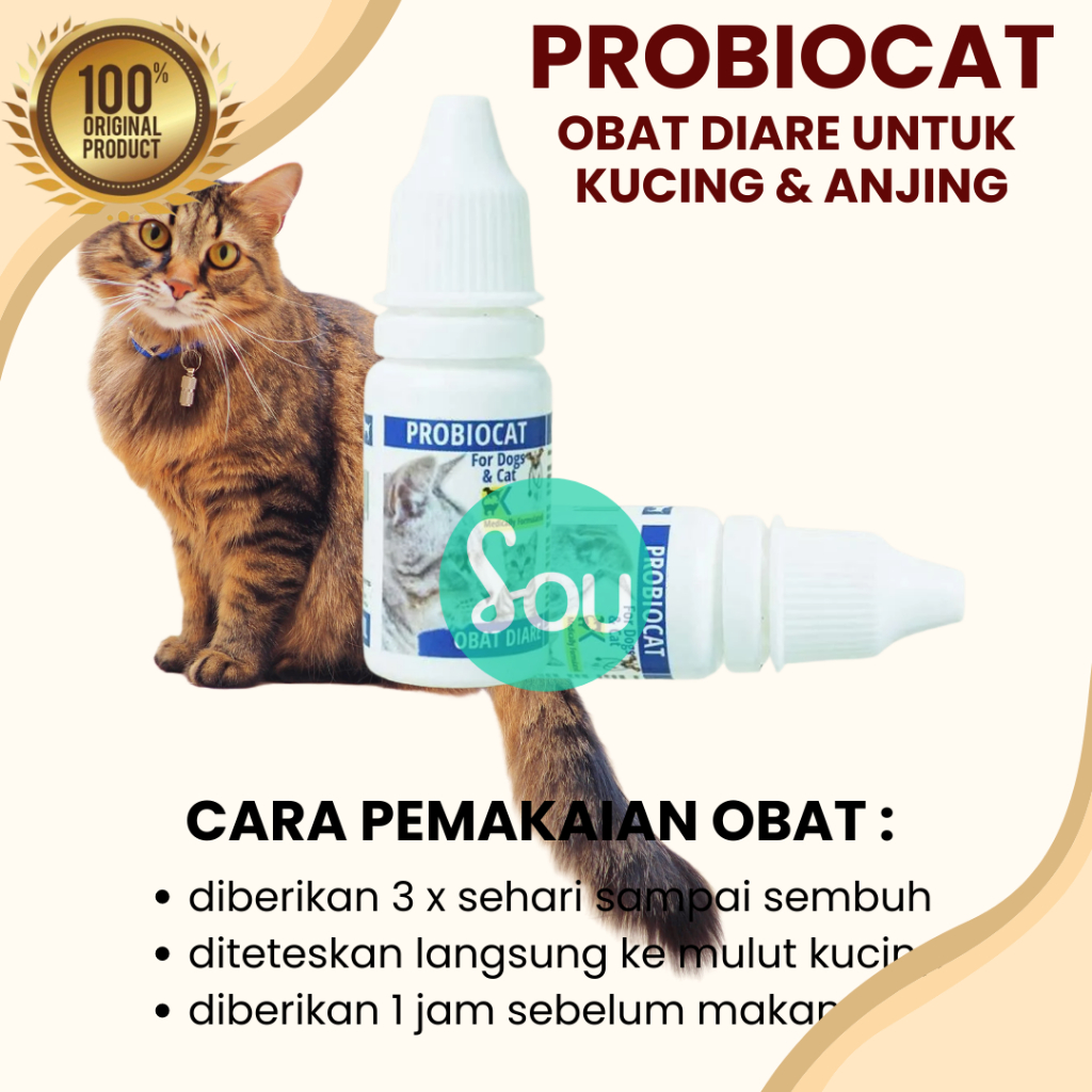 Obat Kucing Mencret Diare Gangguan Pencernaan Priobiocat Obat Diare Vitamin Pencernaan Anti Mencret