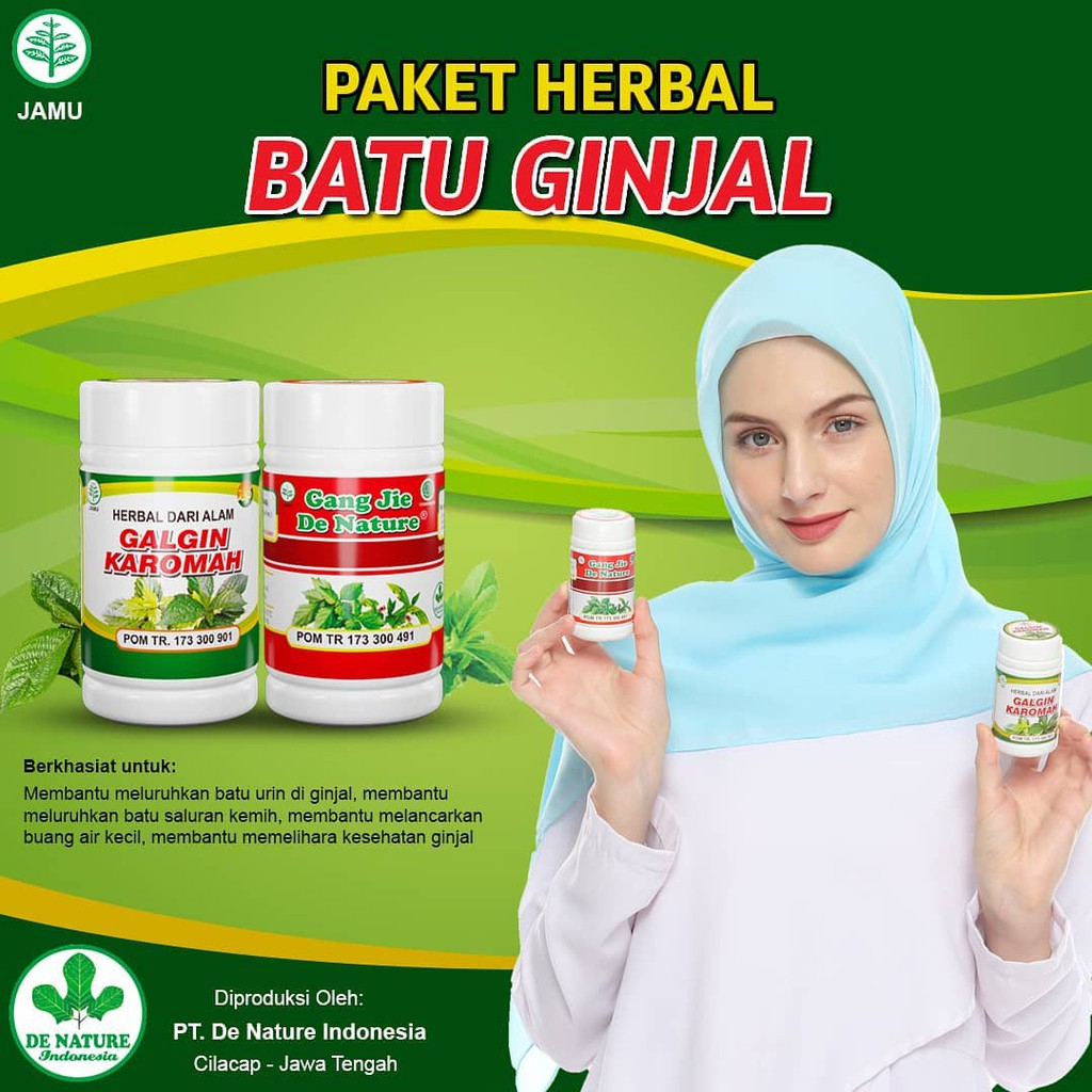 GALGIN KAROMAH DAN GANG JIE-Obat Luruh Batu Ginjal-Kencing Batu DENATURE