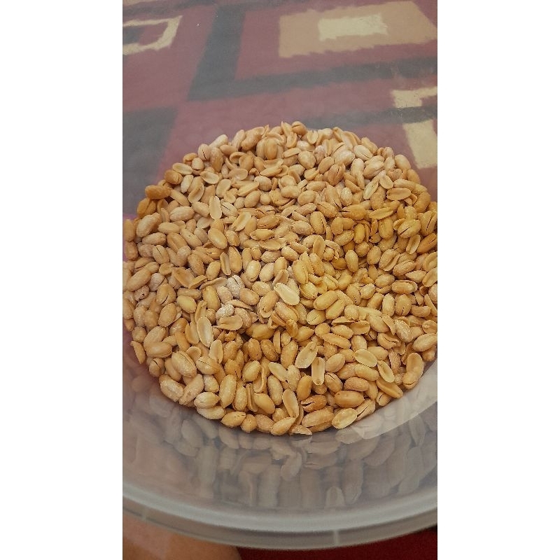 

Kacang Bawang Gurih Renyah Tidak Berminyak 1 kg