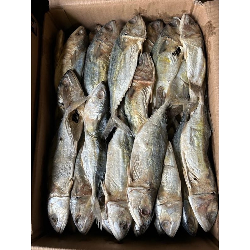 

ikan asin peda Banjar kualitas paling bagus 500gram / 1kg