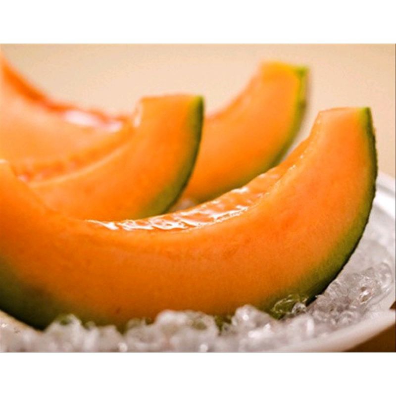 2 Benih Biji Melon Orange