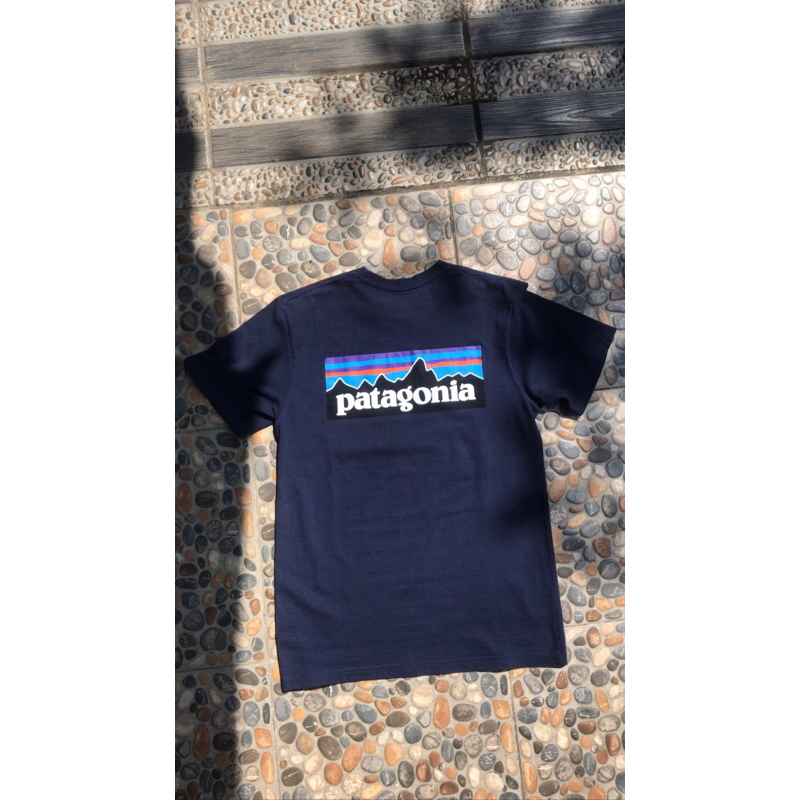 t-shirt patagonia