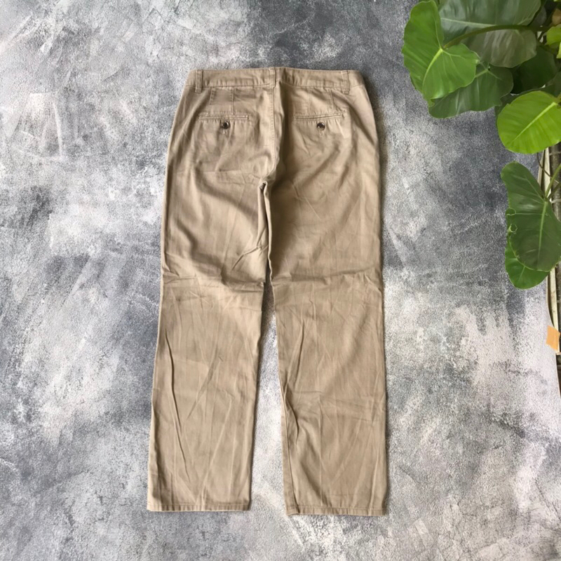 Theoria Chinos Pants