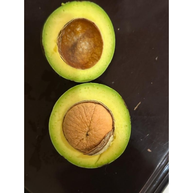 

buah alpukat miki lampung