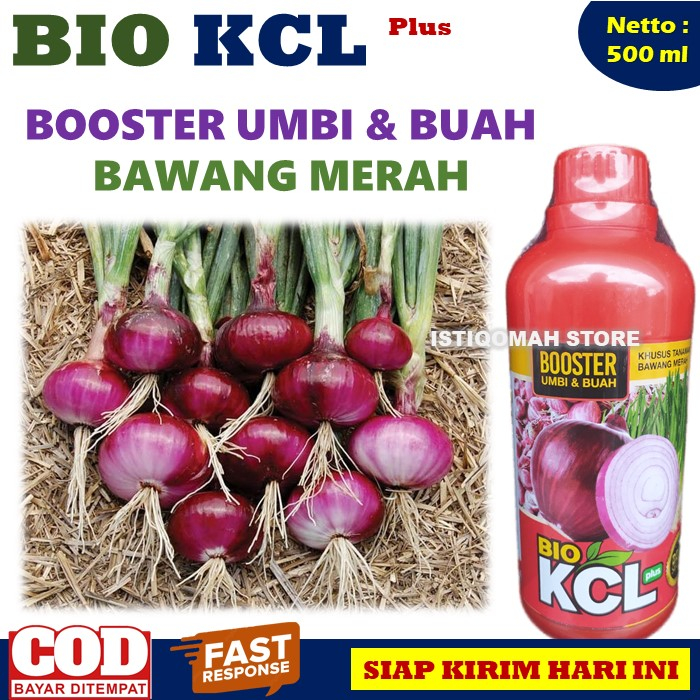 Bio KCL Plus 500ML Pupuk Booster Umbi Bawang Merah Terbaik, Pupuk Penyubur Bawang Merah Paling Bagus Melindungi Batang dan Daun dari Pembusukan, Obat Semprot agar Batang dan Daun Bawang Merah Tidak Busuk, Obat Anti Busuk Bawang Merah