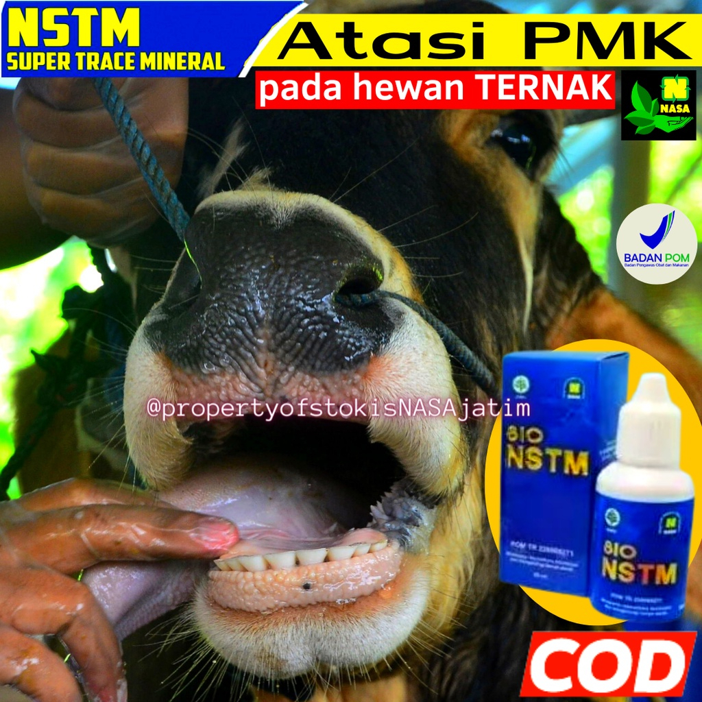 BIO NSTM OBAT PMK SAPI AMPUH - UNTUK SAPI GAK MAU MAKAN DAN LUKA KAKI AKIBAT PMK 30ML OBAT SAPI (PMK