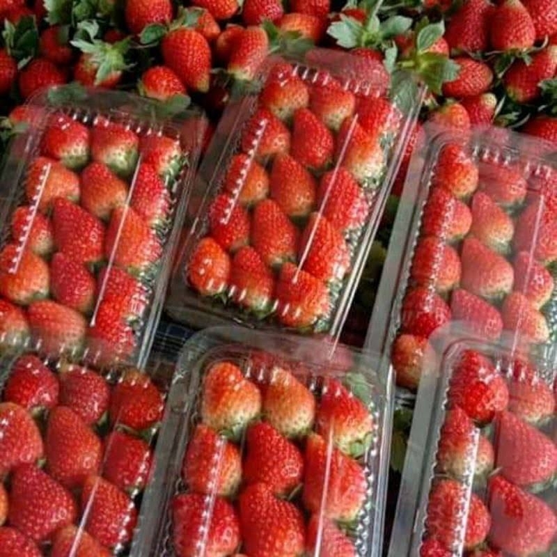 

Strawberry berat sekitar 100 / 125gr