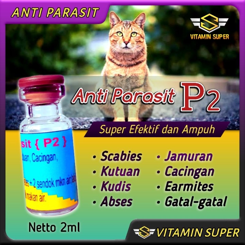 Obat Kucing Anti Parasit P2  | Obat Scabies, Jamuran, Abses, Kutuan, Cacingan, Gatal-gatal, Ketombe, Tungau, earmeat dan Masalah Kulit