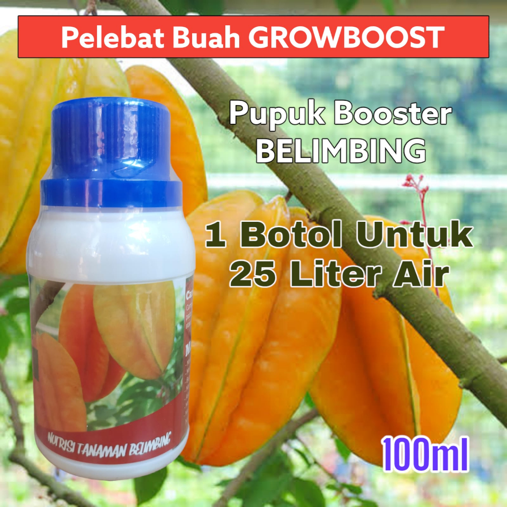 Pupuk Buah Belimbing Premium Organik GrowBoost Buah Belimbing 100ml