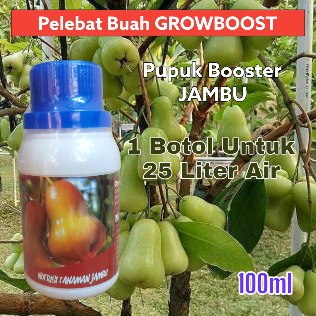 Pupuk Buah Jambu Premium Organik GrowBoost Buah Jambu 100ml