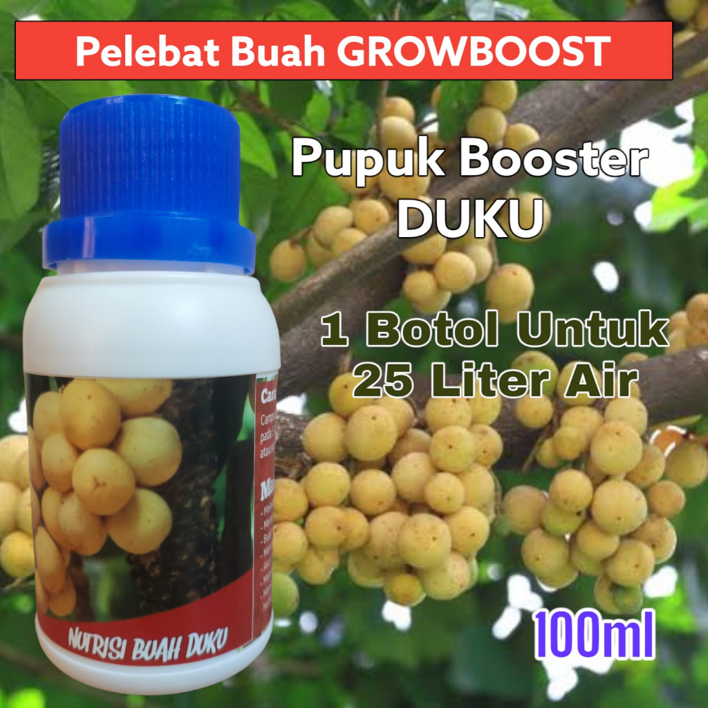Pupuk Buah Duku Premium Organik GrowBoost Buah Duku 100ml