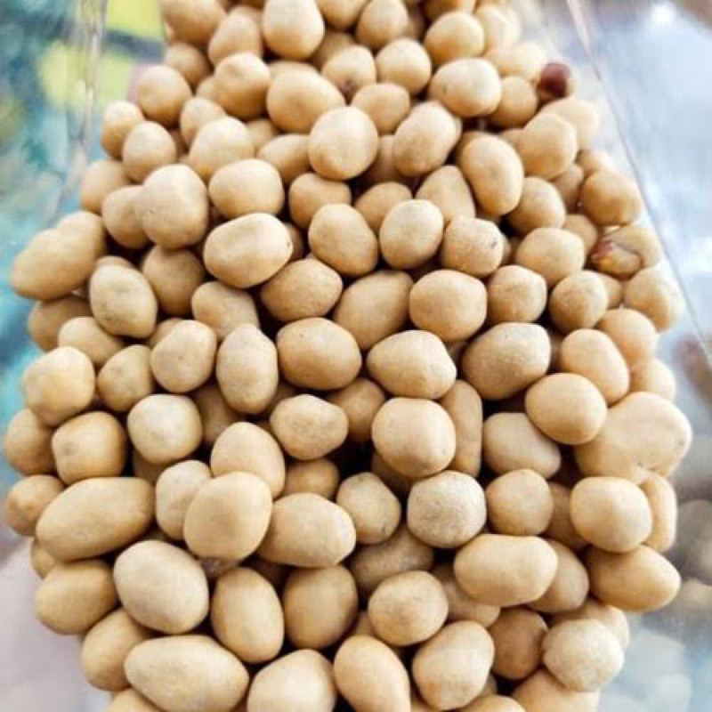 

kacang madu kacang arab kacang tojin 500gr