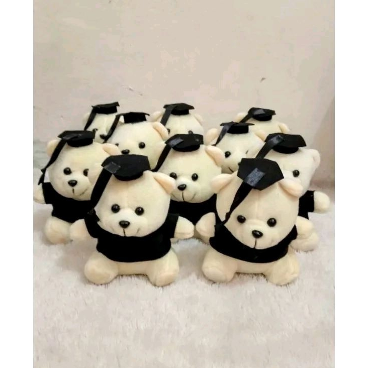 Boneka wisuda / boneka wisuda teddy / boneka wisuda murah