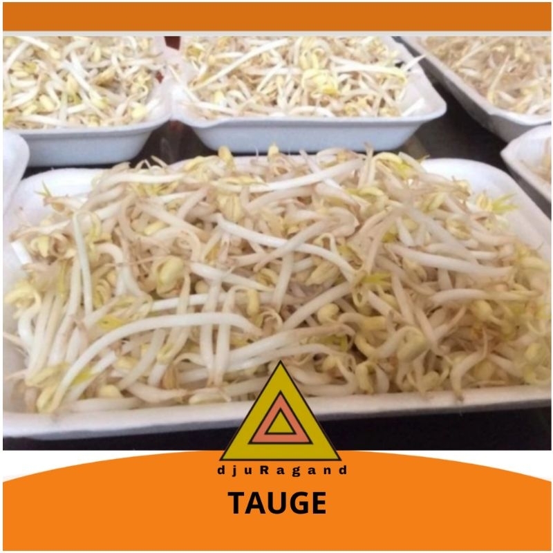 

Tauge sayur 250 gram