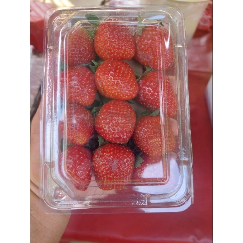 

Strawberry Fresh 250 gr