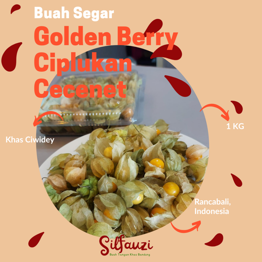 

GOLDEN BERRY/CIPLUKAN/CECENET 1 KG