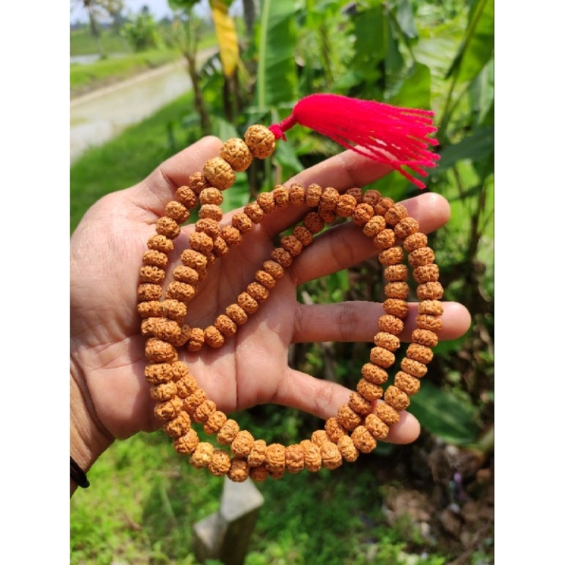 japamala rudraksha 108 original