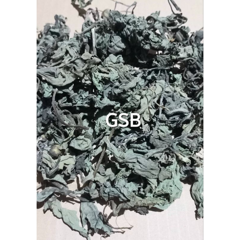 

Daun insulin kering daun ki pahit 200 gram herbal alami