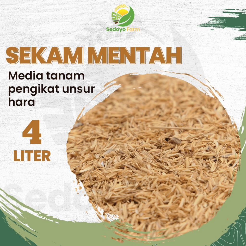 Media Tanam Sekam Mentah Organik 4 Liter