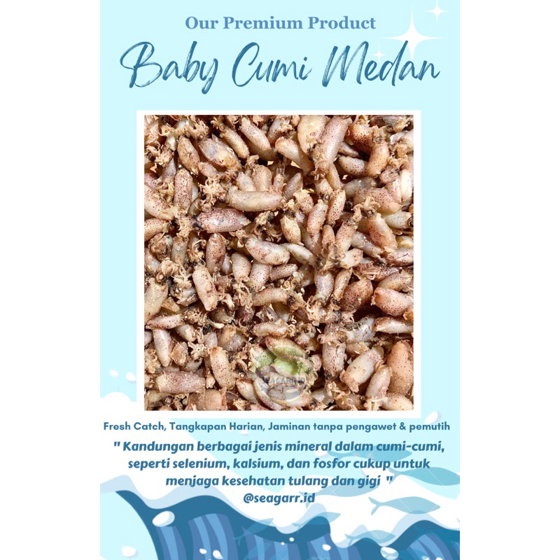 

Seagarr Baby Cumi Medan (500gr)