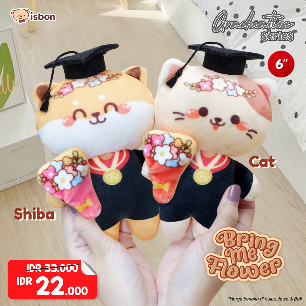 ISTANA BONEKA Wisuda Bring Me Flower Series STD With Toga Graduation Bahan Lembut Lucu Mungil Printing