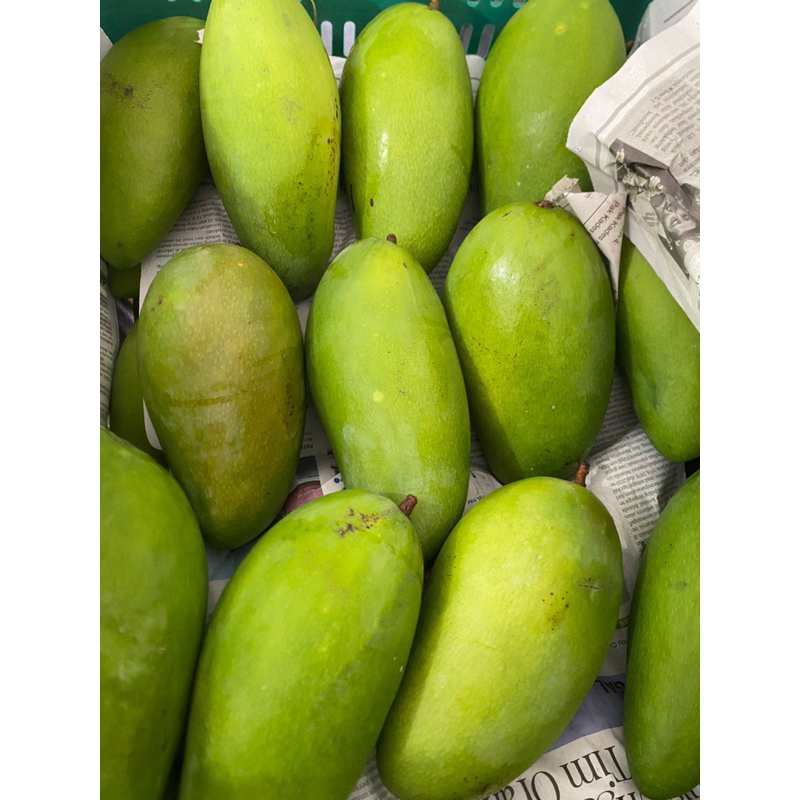 

mangga thailand kio jay (3kg)