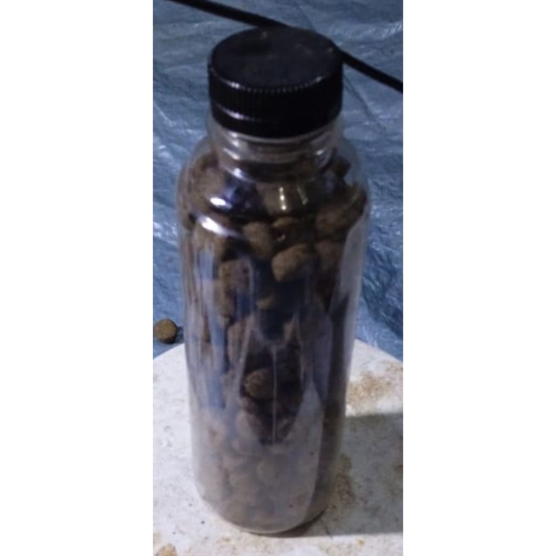 Pelet Bunting dwarf channa