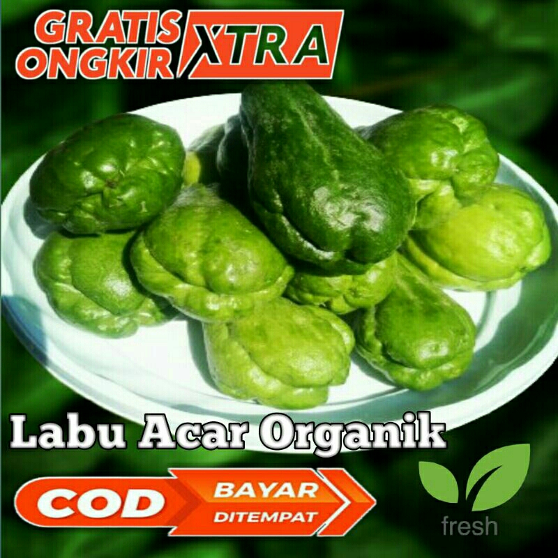 labu acar kecil segar/ fresh  per 250 gramLabu siam baby segar 1kg bibit putih iris mini kecilacar s