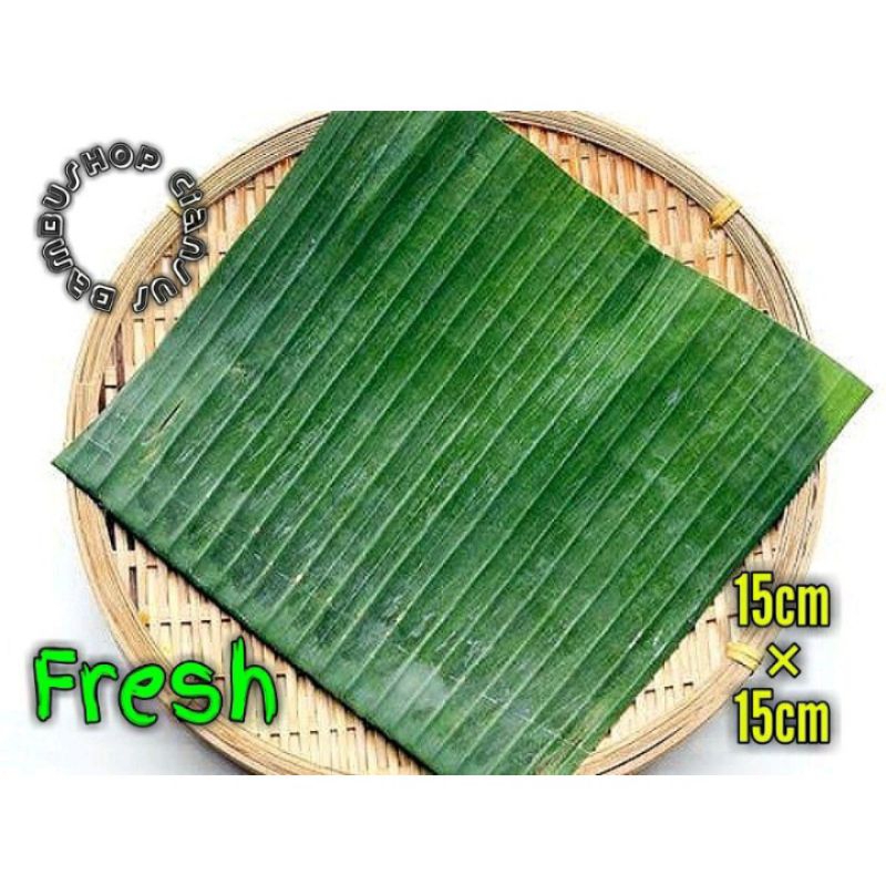 

Daun Pisang Segar Persegi isi 10 Lembar di ambil dadakan