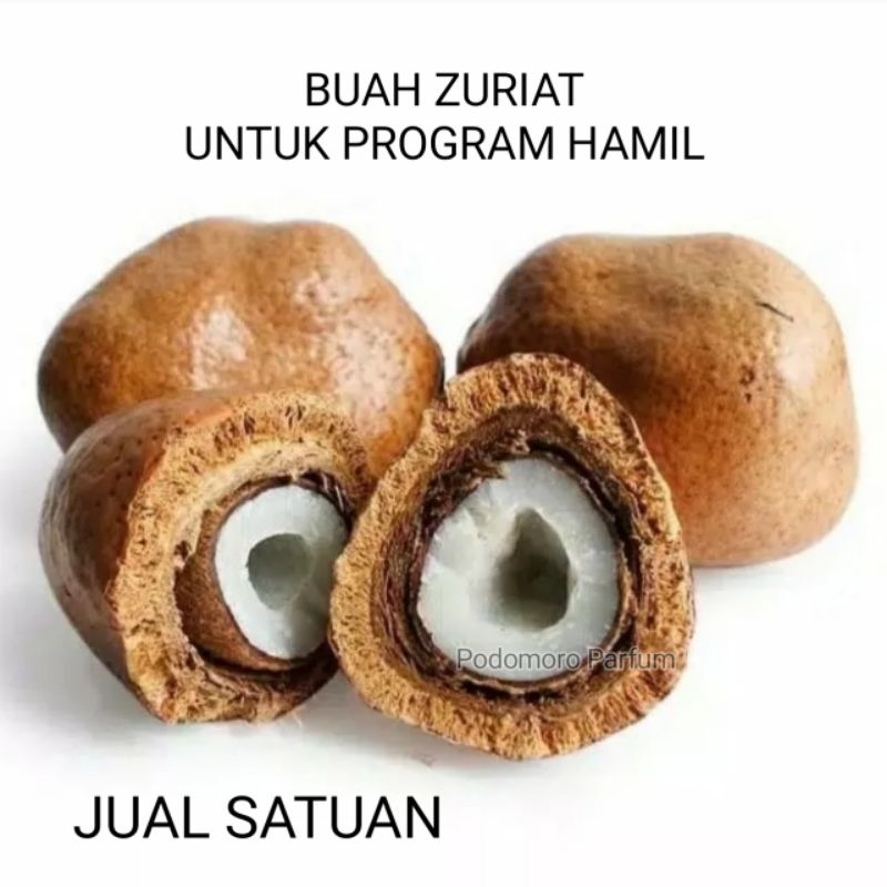 

Buah Zuriat Mesir Satuan Original