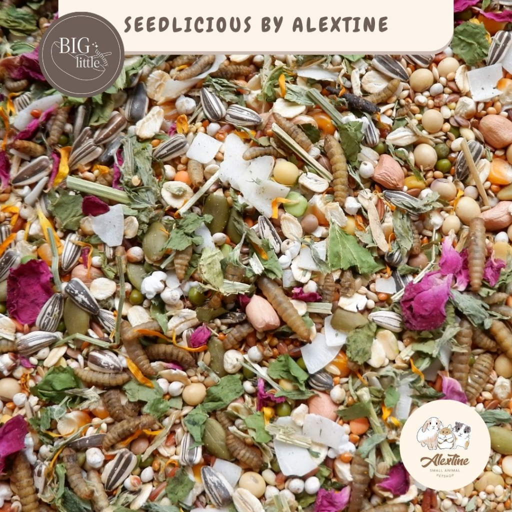 big little tummy | Seedlicious by Alextine Small Pets / Seedmix Hamster / Makanan Hamster