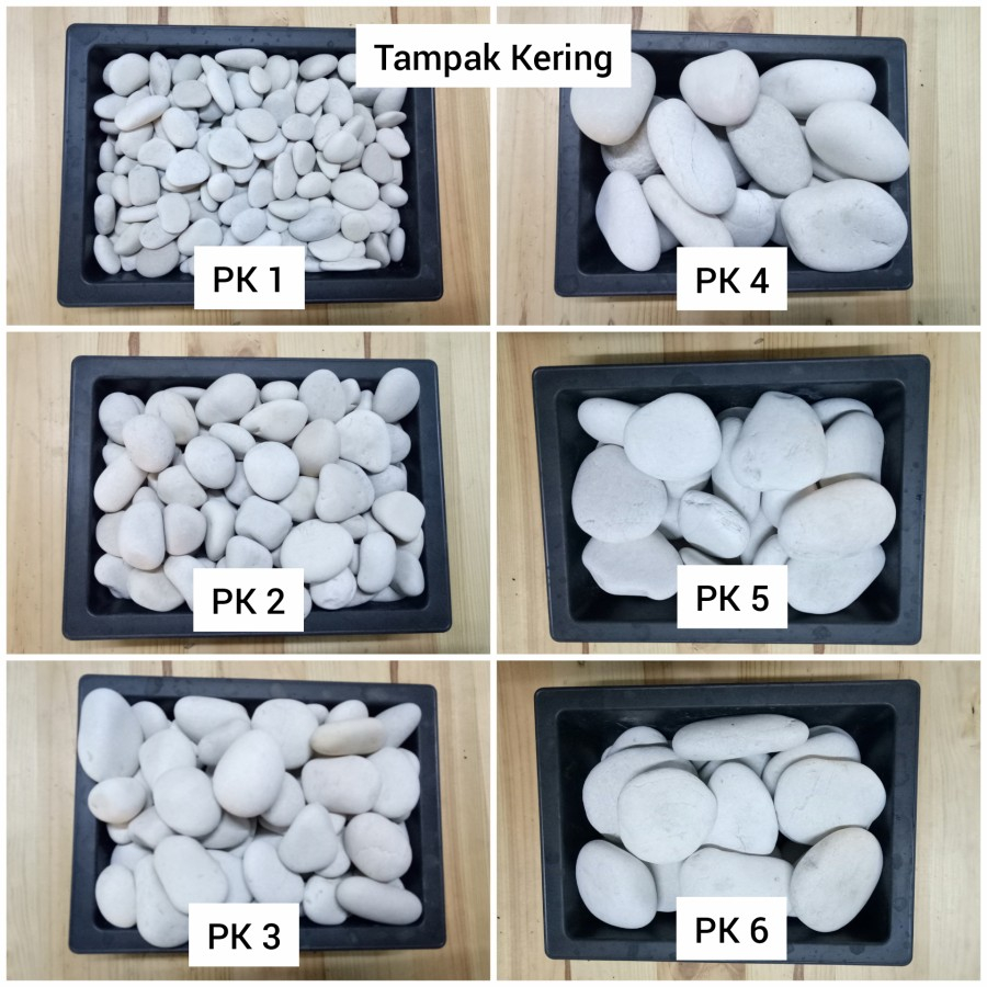 Batu Putih Kupang (Batu Alam Koral Sikat Hias Taman)