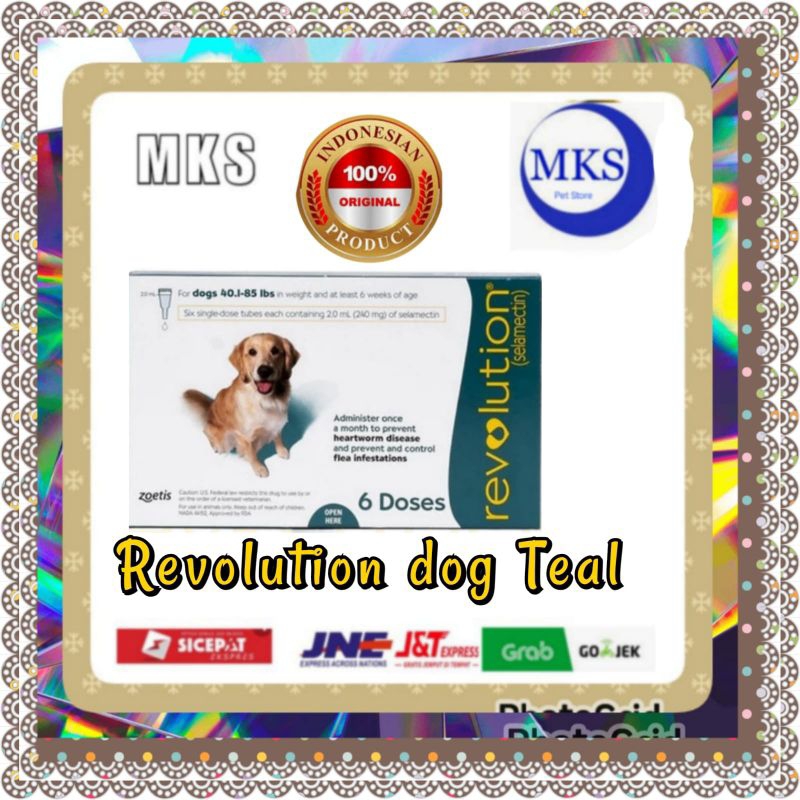 Revolution Plus Dog Teal 2ml Obat kutu anjing