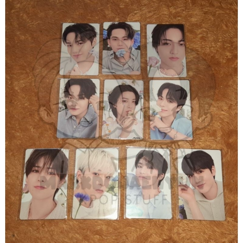 SHARING PC ONGREDIENTS BLOOMING TREASURE YOSHI ASAHI[READY STOCK]