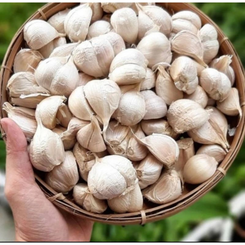 

SUPER PROMO!!! Bawang Putih Kating Super 500gr | naga_exspress