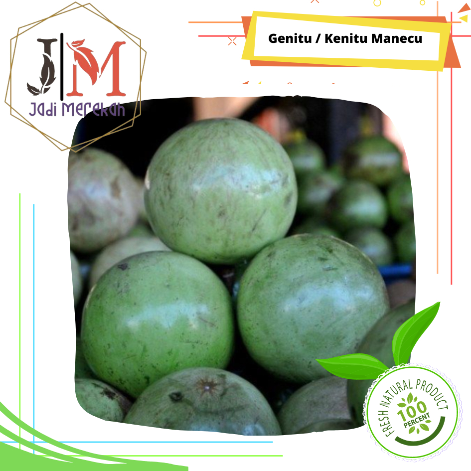 

[JM SoFresh] - Buah Genitu / Manecu / Kenitu / Duren Sawo